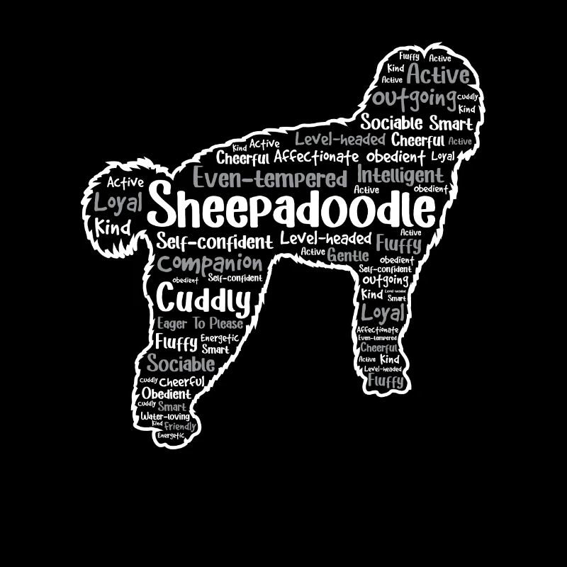 Sheepadoodle Doodle Hund