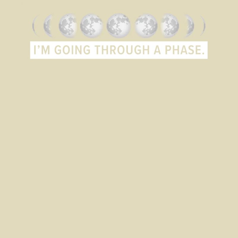 I'm Going Through A Phase Lunar Eclipse Moon Phase