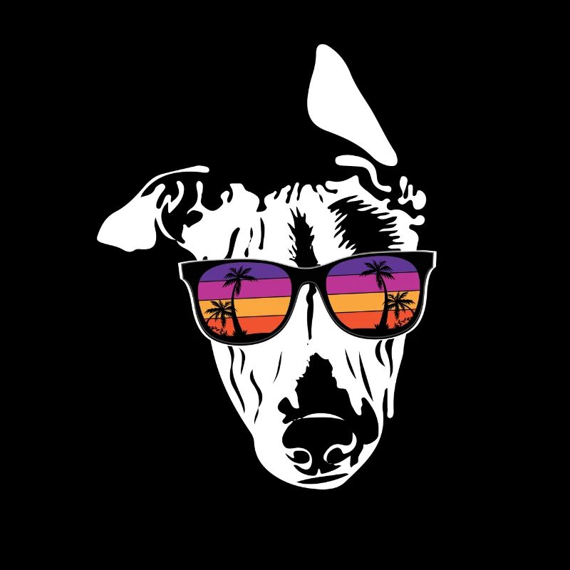 Whippet
