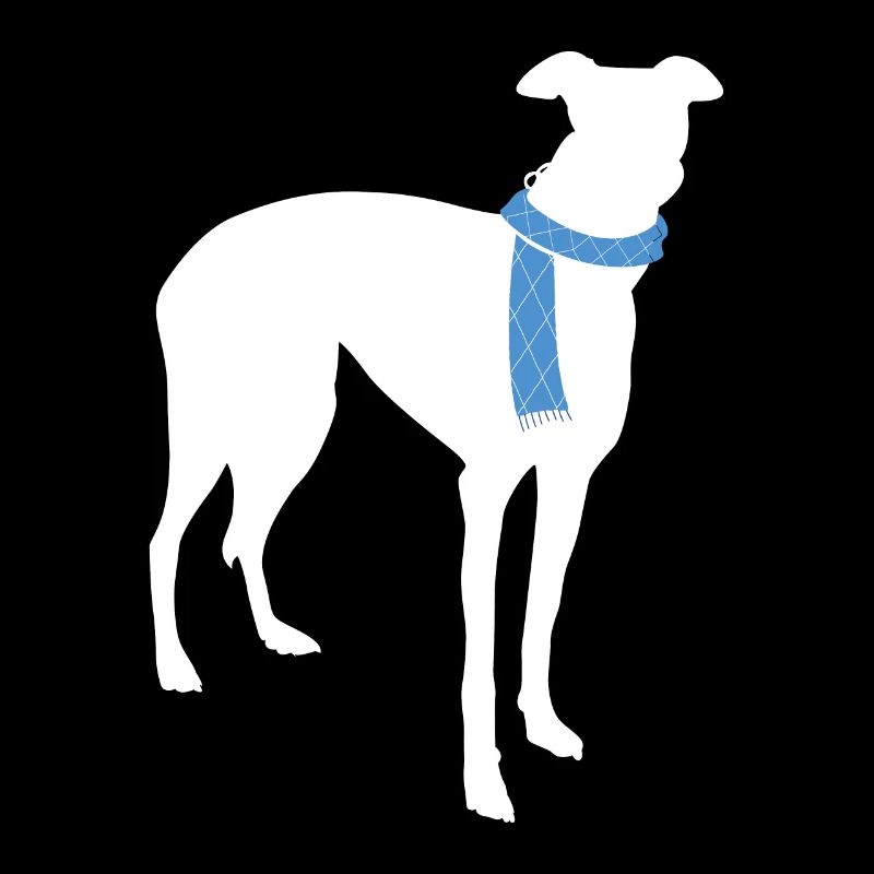 Whippet