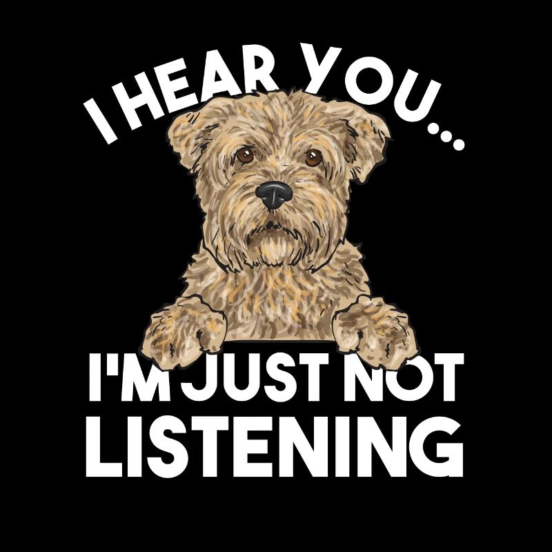 Cairn Terrier Chien