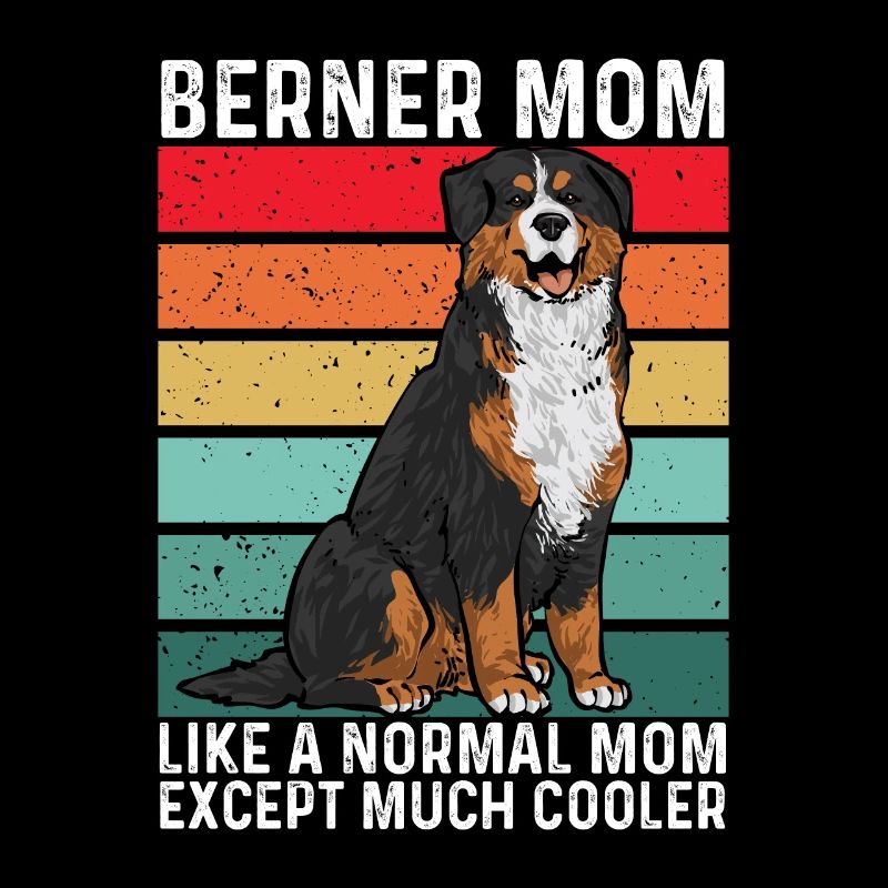 Bouvier bernois