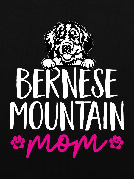 Berner Sennenhund