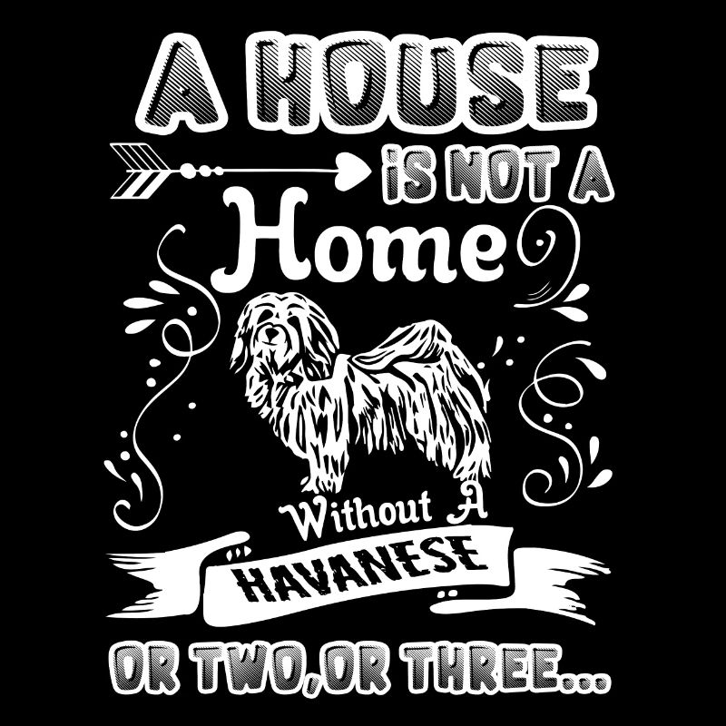 Havanese Home Without Havanese