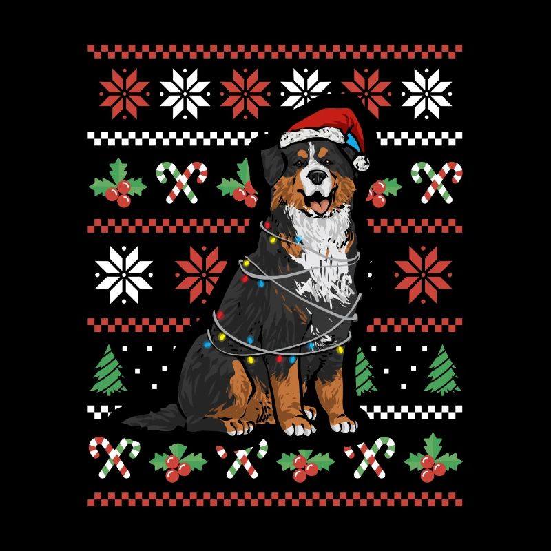 Bernese Mountain Dog