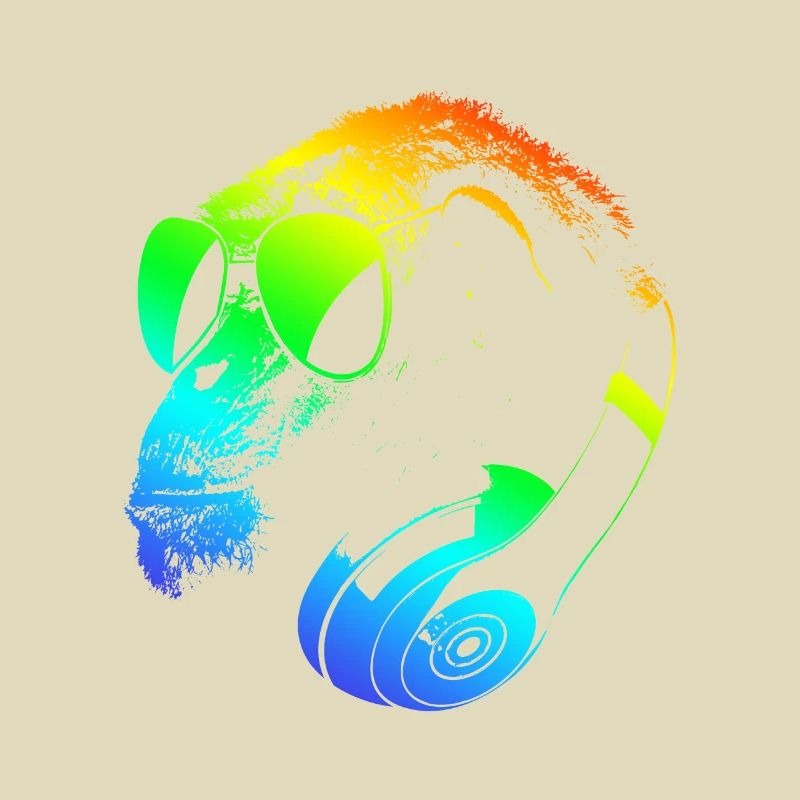 DJ Ape Gorilla Monkey Musique Techno Monkey