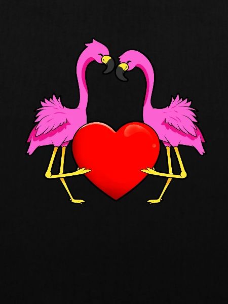 Flamingo Love