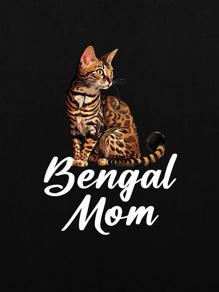 bengal cat, Rosetted Bengal Cat