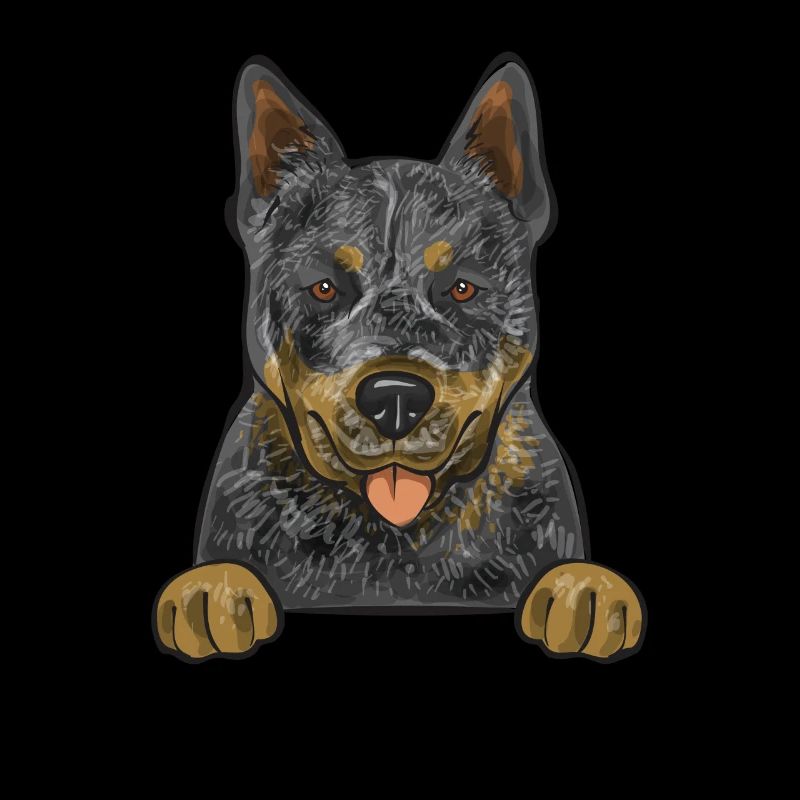 Bouvier australien Red Blue Heeler