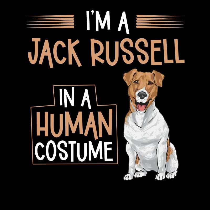 Jack Russell Terrier