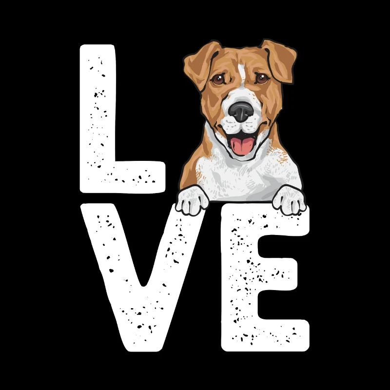 Jack Russell Terrier
