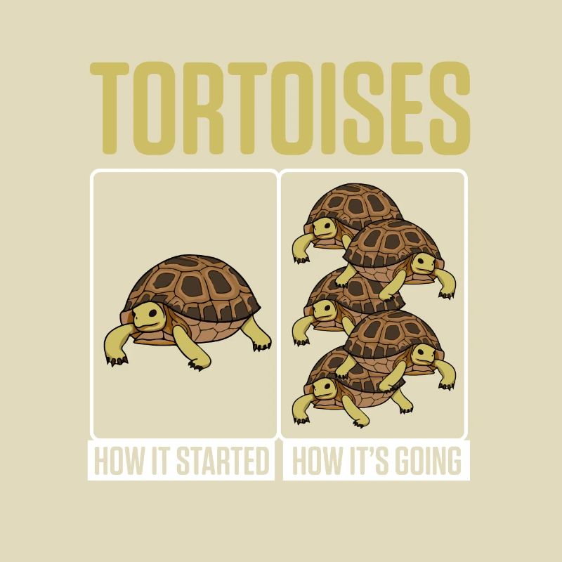 Funny Tortoises How Started How It's Going Turtle
