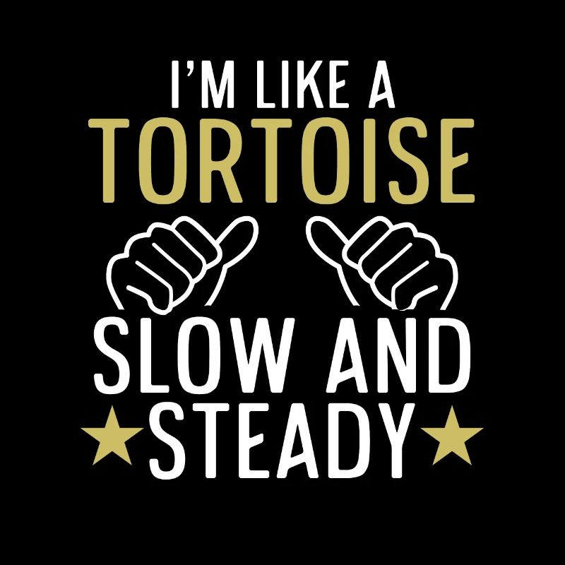 Funny I'm Like Tortoise Slow And Steady Turtle Rep