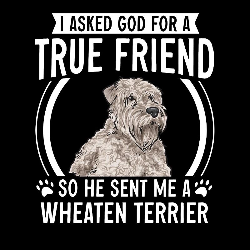 Irish Soft Coated Wheaten Terrier