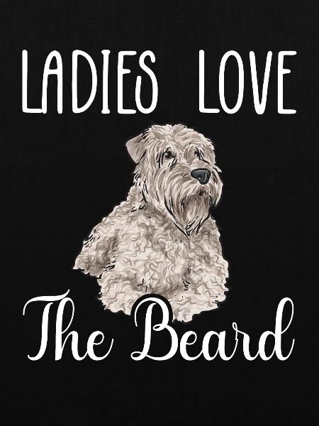 Irish Soft Coated Wheaten Terrier