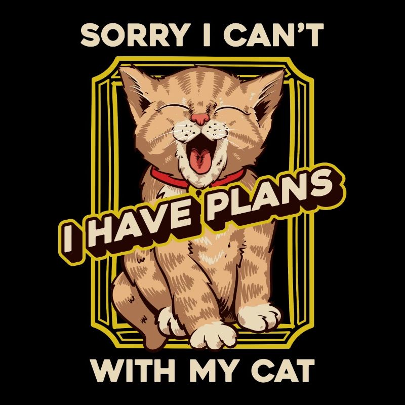 Katze