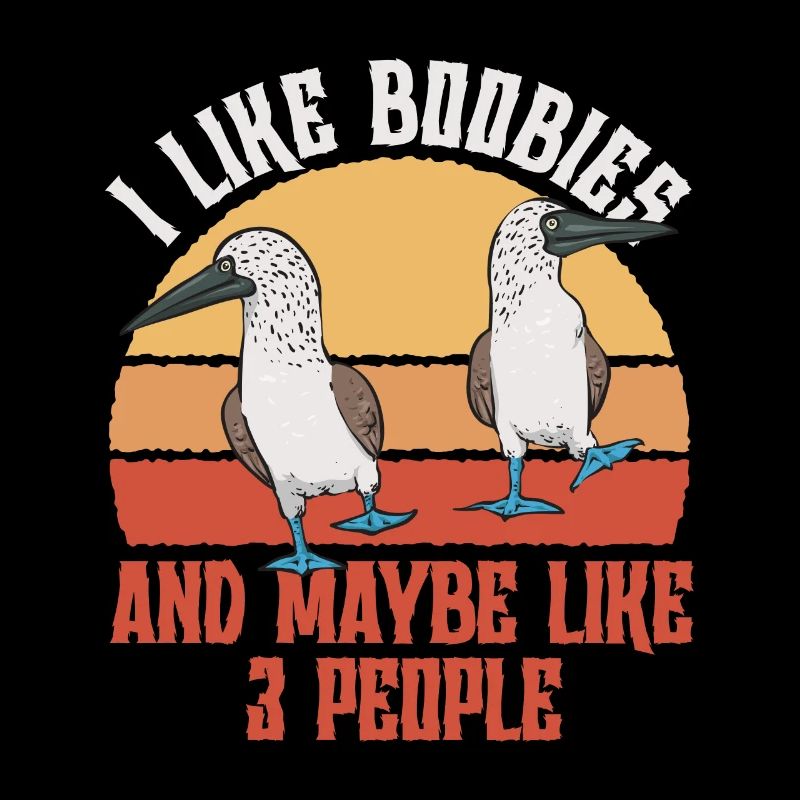 Blue-footed Booby Seabird Blue-footed Booby Seabird