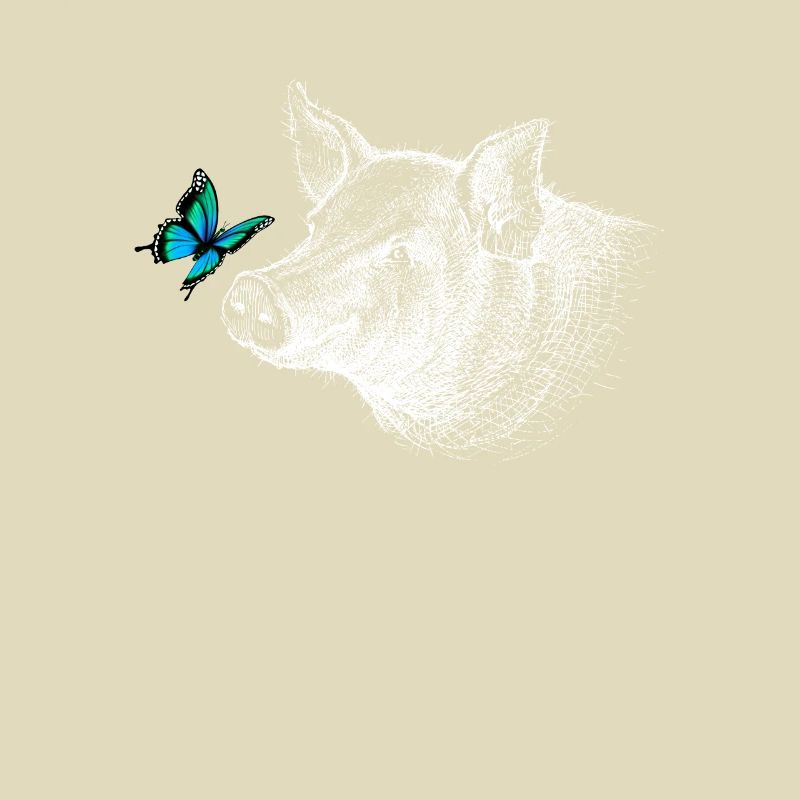 Cochon avec papillon