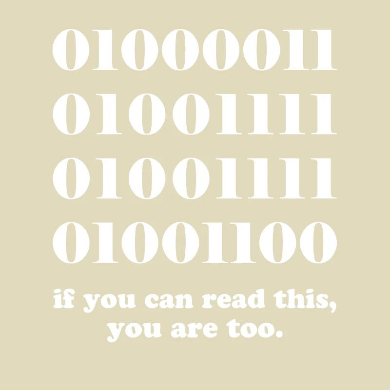 Computer binary code developers gift