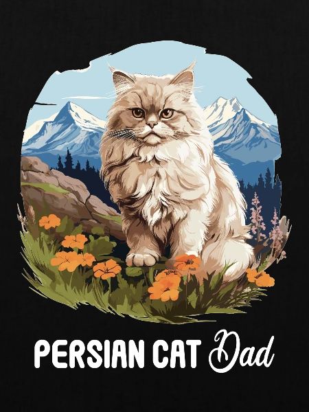 Persian Cat Perser Katze