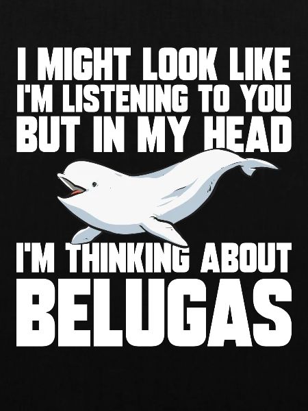 Weißwal Beluga Wal
