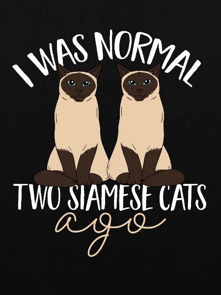 Siamkatze
