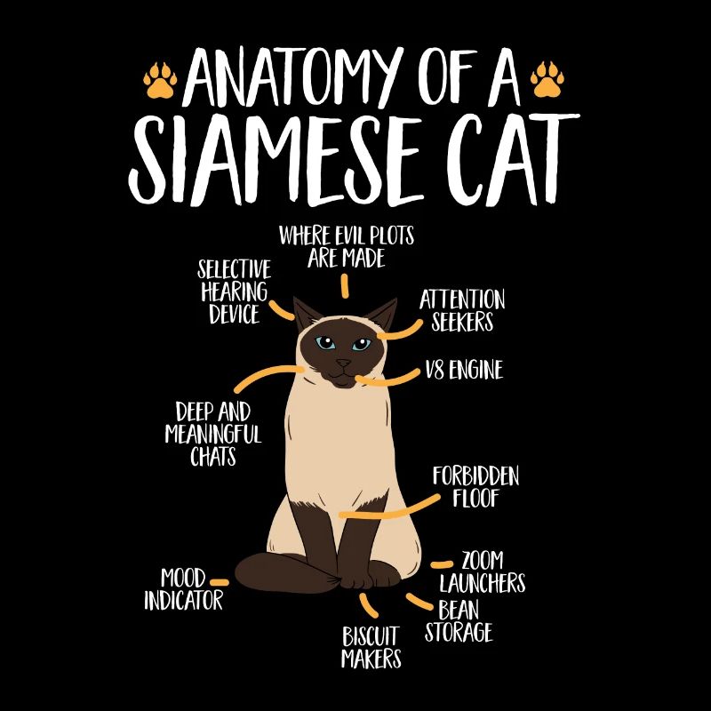 Siamkatze
