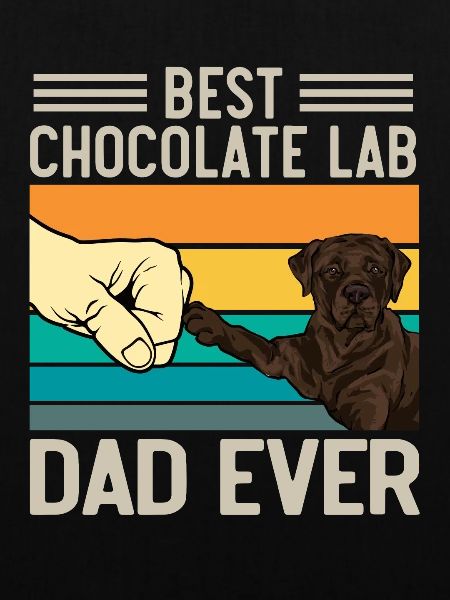 Chocolate Labrador Retriever Hund