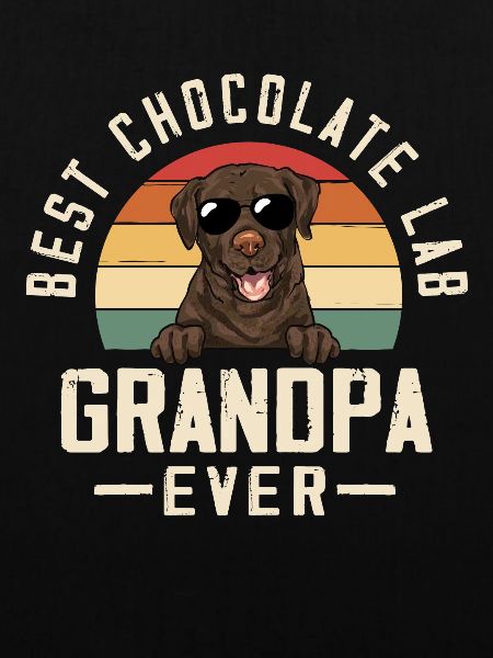 Chocolate Labrador Retriever Hund
