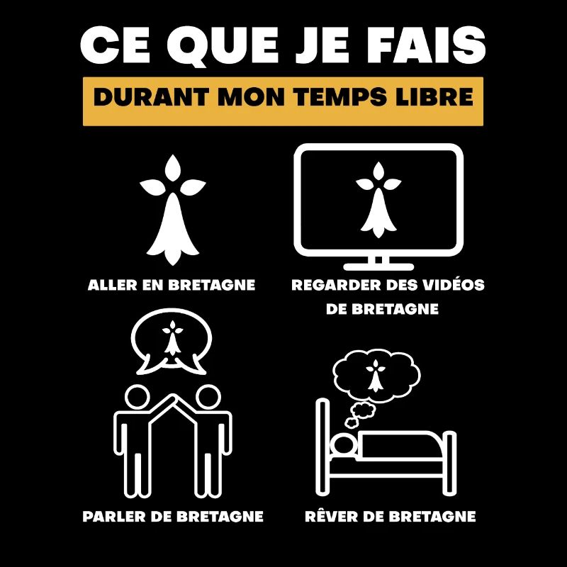 bretagne hermine durant temps libre
