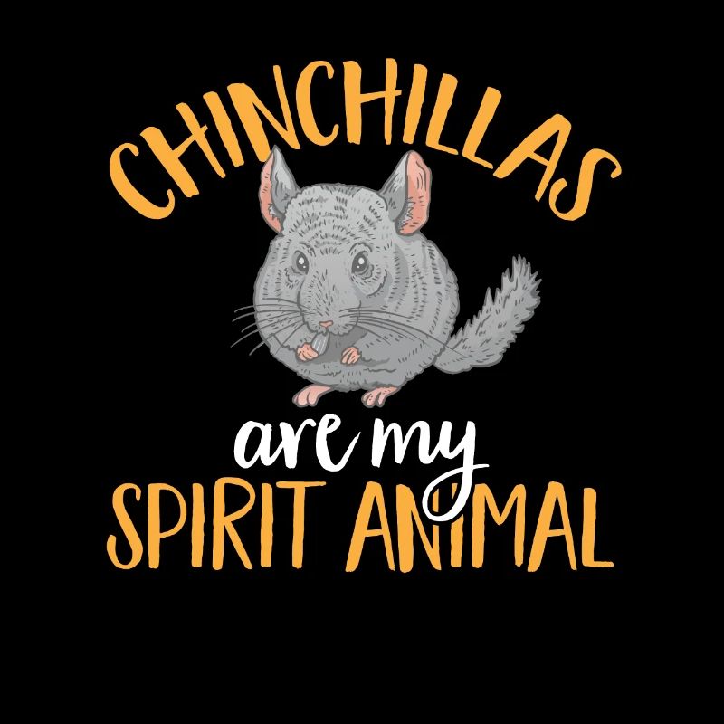 Chinchilla