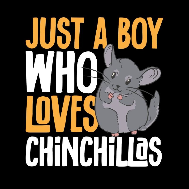 Chinchilla