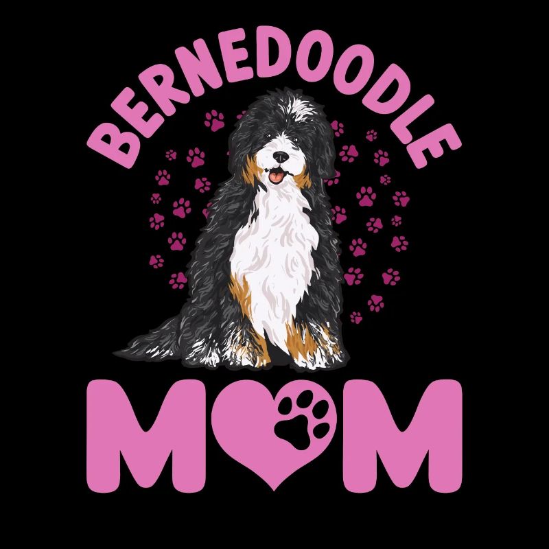 Bernedoodle Hund