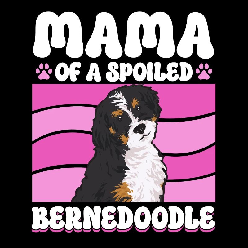 Bernedoodle Hund