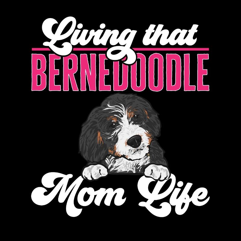 Bernedoodle Hund