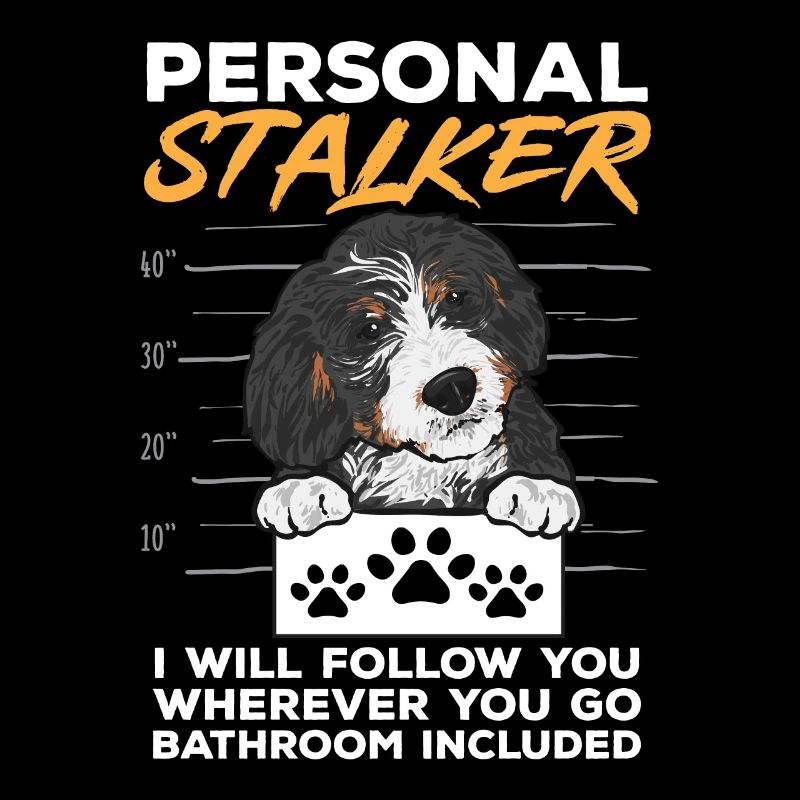 Bernedoodle Hund