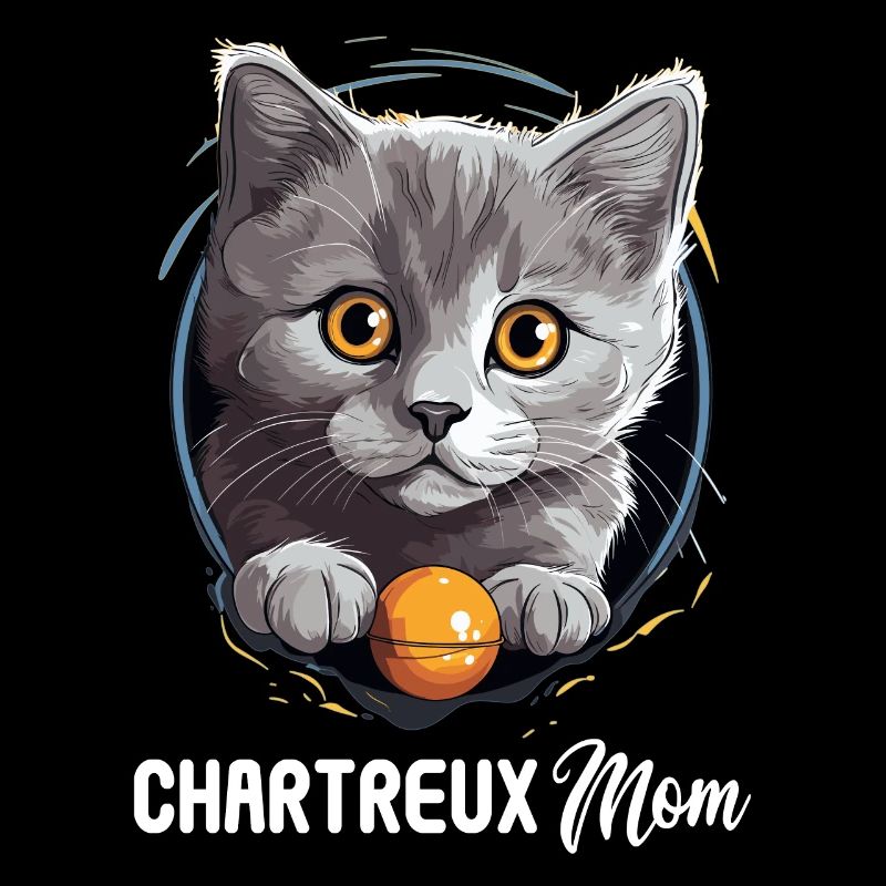 Chat Chartreux Chat Chartreux