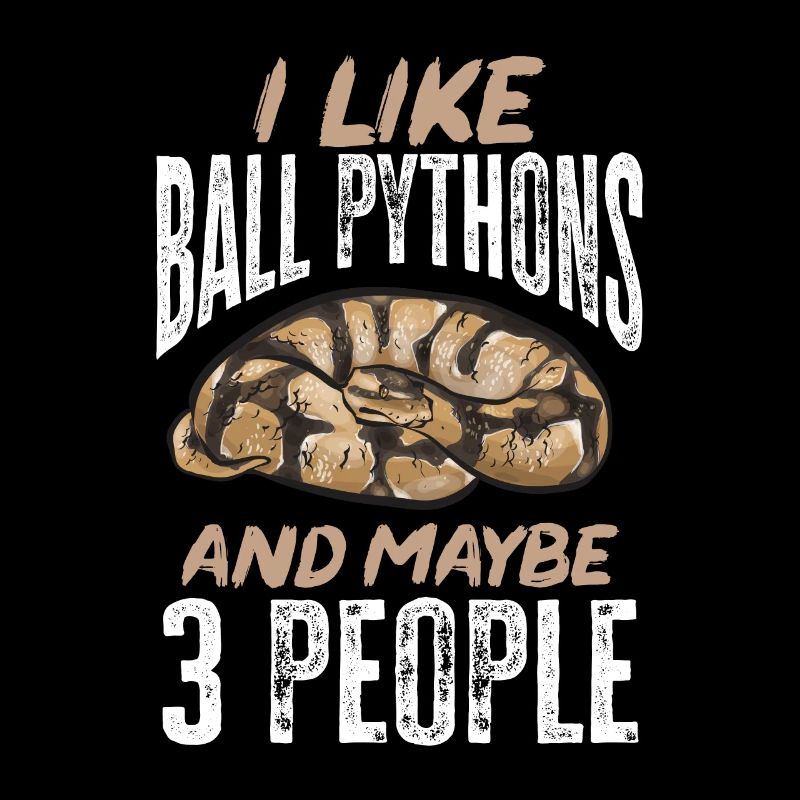 Ball Python Schlange Königspython