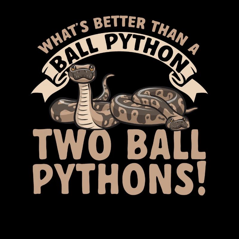 Ball Python Schlange Königspython