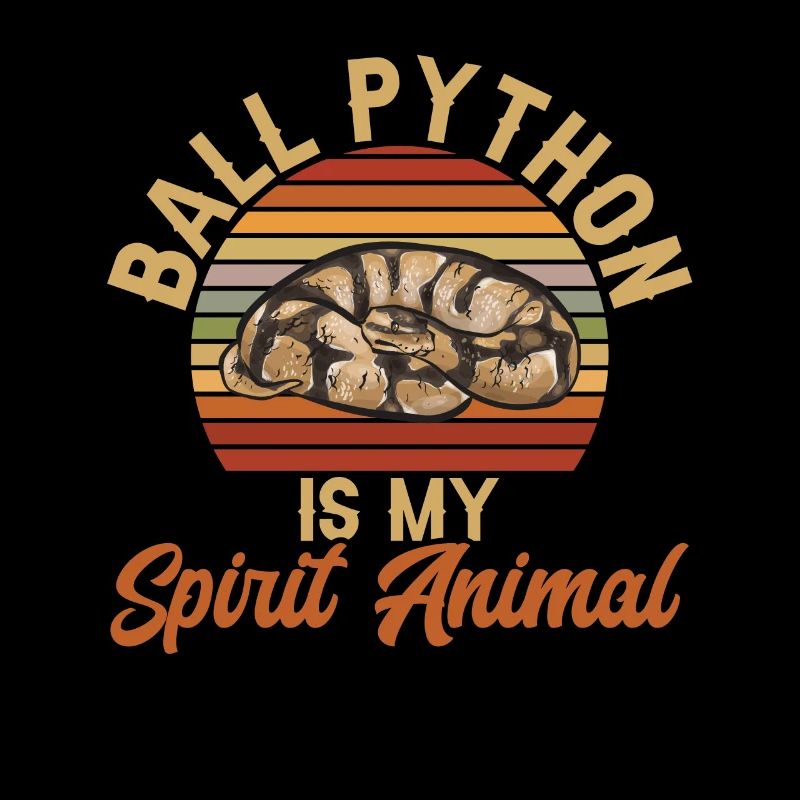 Ball Python Schlange Königspython