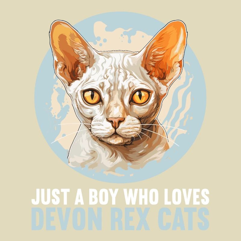 Chaton Devon Rex Chat Devon Rex