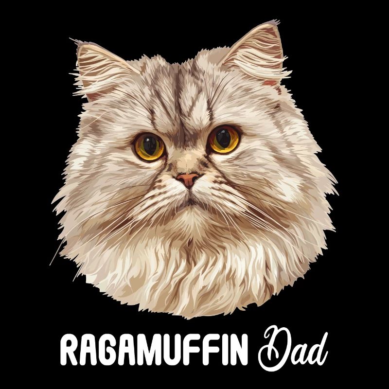 Ragamuffin Kätzchen Ragamuffin Katze