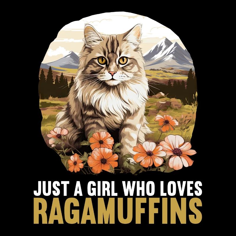 Ragamuffin Kätzchen Ragamuffin Katze