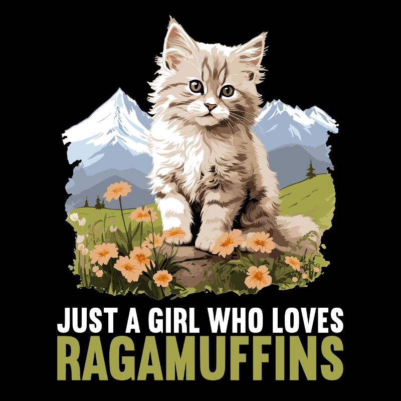 Ragamuffin Kätzchen Ragamuffin Katze