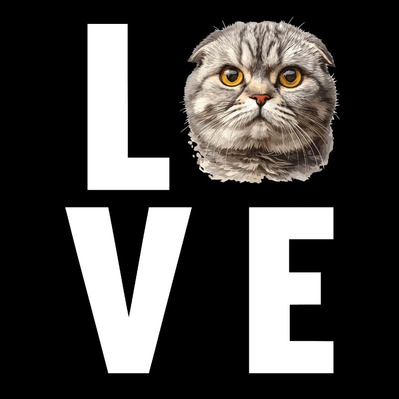 Scottish Fold Kätzchen Scottish Fold Katze