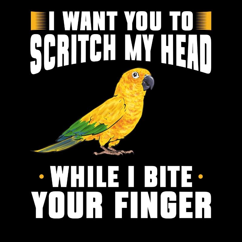 Perruche Perroquet Perruche Oiseau