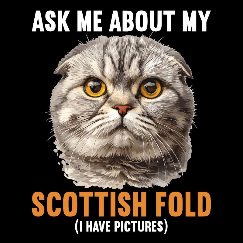 Scottish Fold Kätzchen Scottish Fold Katze