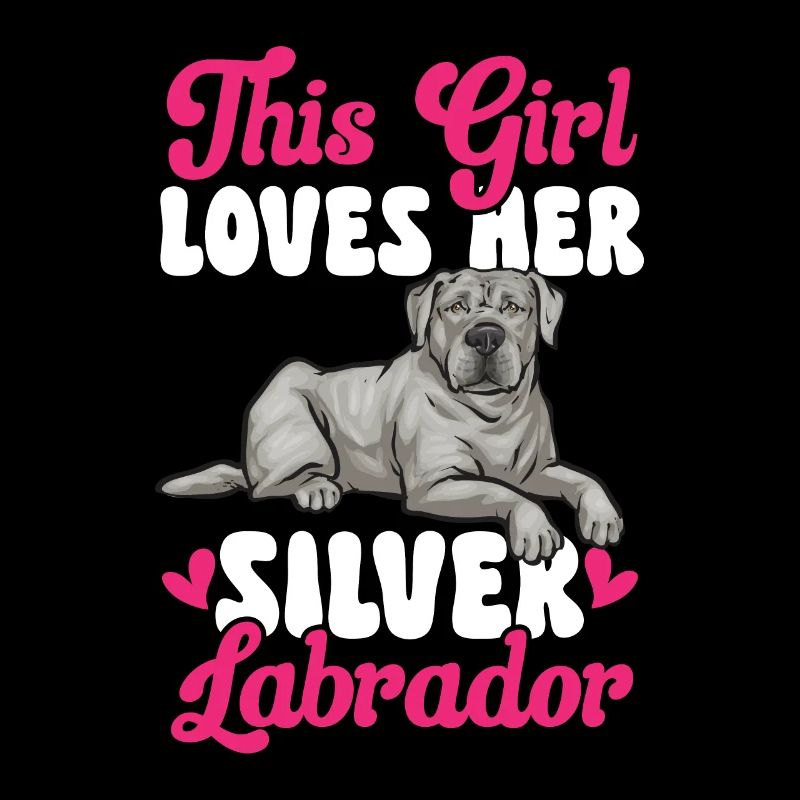 Silver Labrador Retriever Silver Lab