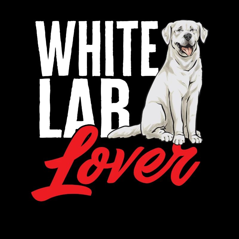 Labrador Retriever blanc Labrador Labrador blanc