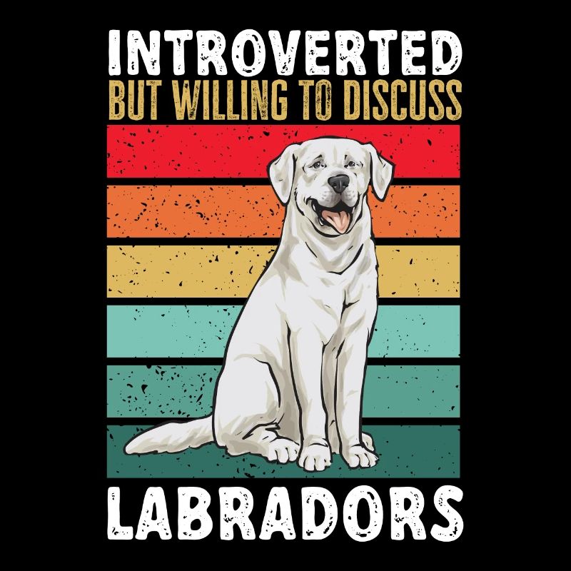 Labrador Retriever blanc Labrador Labrador blanc